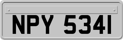 NPY5341