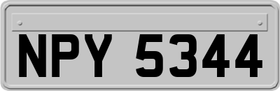NPY5344