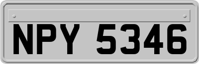 NPY5346