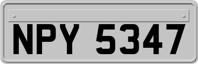 NPY5347
