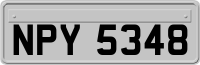 NPY5348