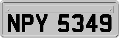 NPY5349