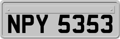 NPY5353
