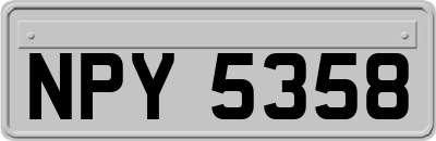 NPY5358