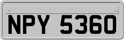 NPY5360