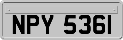 NPY5361