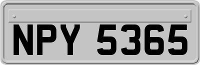 NPY5365