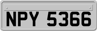 NPY5366