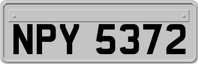 NPY5372