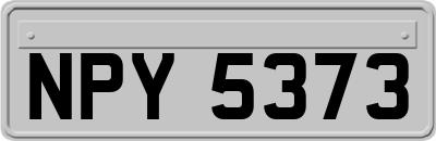 NPY5373
