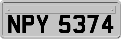 NPY5374