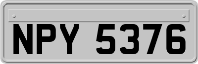 NPY5376