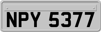 NPY5377