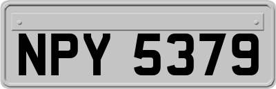 NPY5379