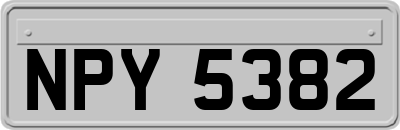 NPY5382