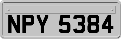 NPY5384