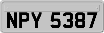 NPY5387
