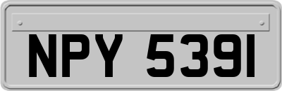 NPY5391