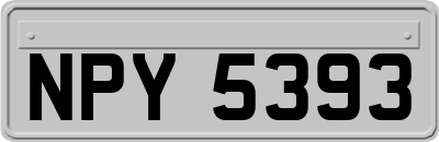 NPY5393