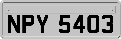 NPY5403