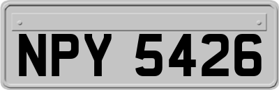NPY5426