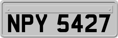 NPY5427