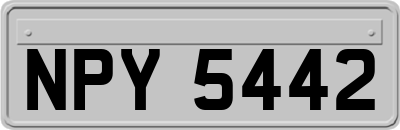 NPY5442