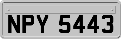 NPY5443