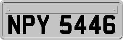NPY5446
