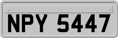 NPY5447