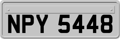 NPY5448