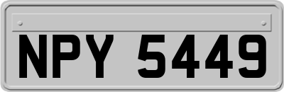 NPY5449