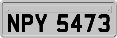NPY5473