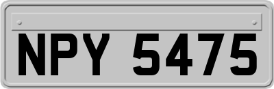 NPY5475