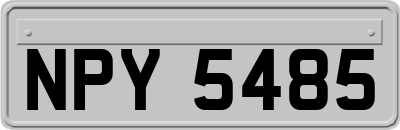 NPY5485