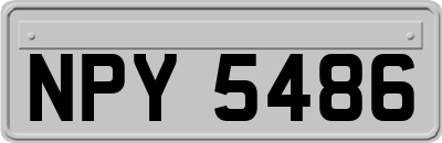NPY5486