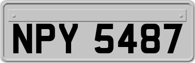 NPY5487