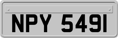 NPY5491