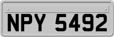 NPY5492