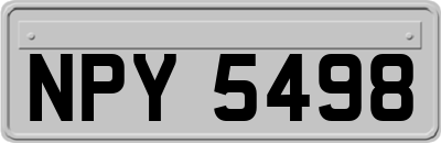 NPY5498