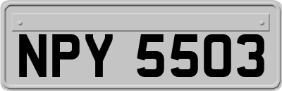 NPY5503