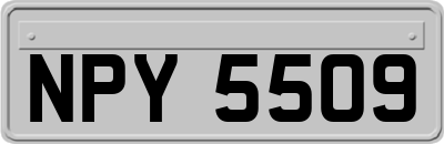 NPY5509