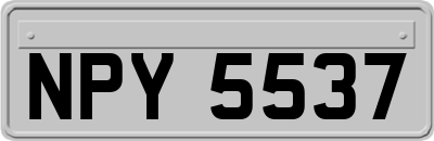 NPY5537