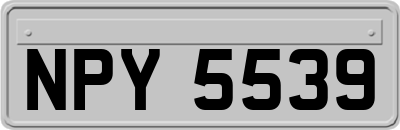 NPY5539