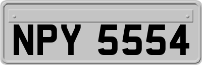 NPY5554