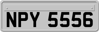 NPY5556