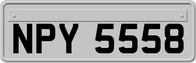 NPY5558