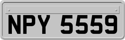 NPY5559