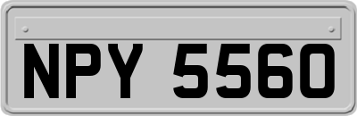NPY5560