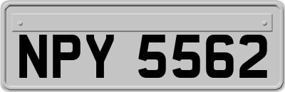 NPY5562
